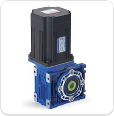 Worm Reducer u݆p늙C